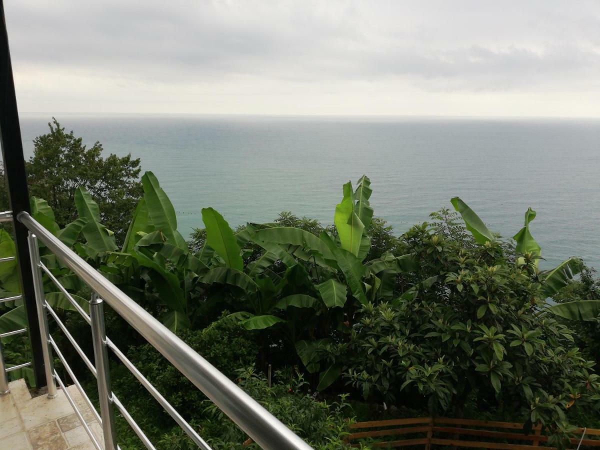 Albatross Kvariati Guest House Exterior photo